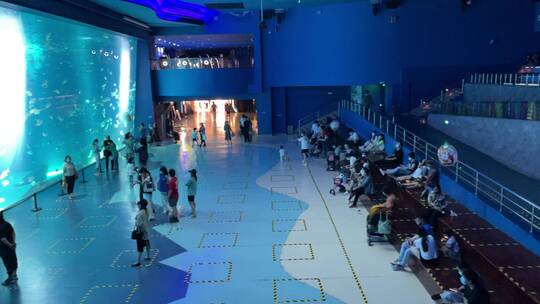 上海海昌海洋公园动物海洋馆游乐园视频素材模板下载