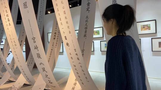 济南万象城宫崎骏原画展，龙猫赛格璐展览视频素材模板下载