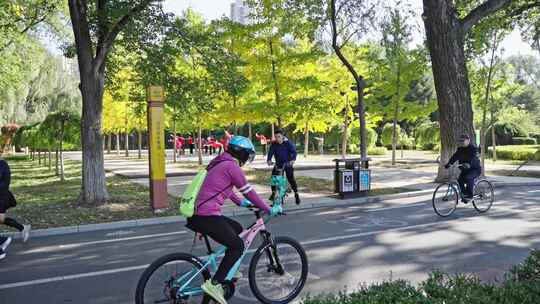 银杏林晨练 滨水慢道骑行 跑步晨练 人物