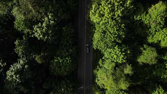 鸟瞰道路，让汽车驶过加拿大斯夸米什美丽的