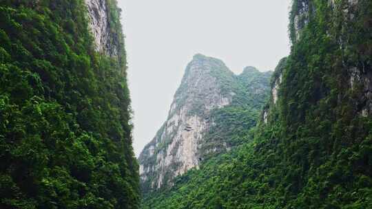 仰拍山峰