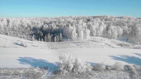 新疆的冬天大地被白雪覆盖视频素材模板下载