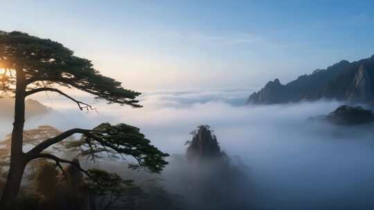 黄山云海迎客松全景