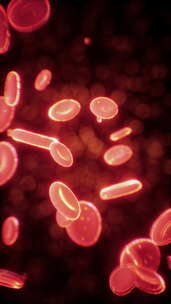 健康人类红细胞抽象概念