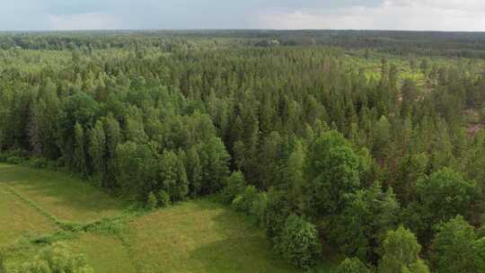 夏季，无人驾驶飞机飞越瑞典东南部的森林。Sm？土地