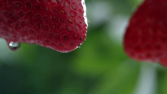 草莓上滴落的水滴