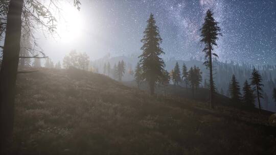 森林上方太阳和星河