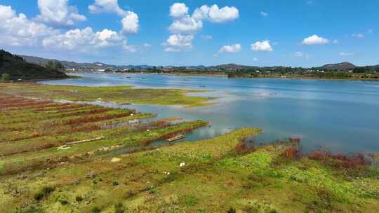 贵州省威宁县锁黄仓湿地公园鸟类