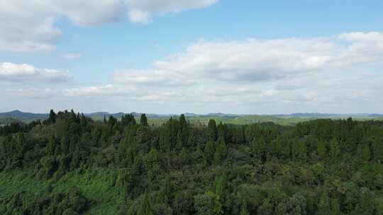 中国西南丘陵地区乡村土地山丘树林