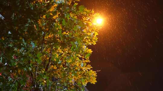 雨夜下雨天空镜