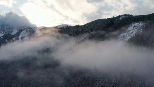 达奇斯坦，树木，山峰，冬天