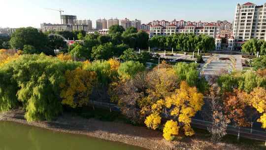 宁夏中卫市文化广场秋季景色