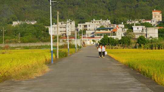 乡间田野小路学生放学回家