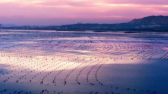 晚霞下的海洋牧场