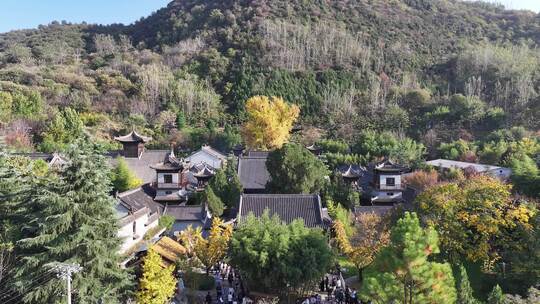 古观音禅寺银杏树