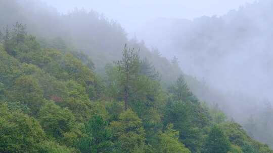 初秋雨中山脉云雾缭绕的绝美自然风光