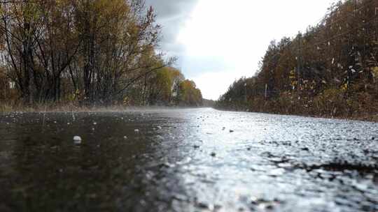 雨中森林公路景色