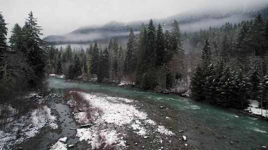 山，冬天，雪，树