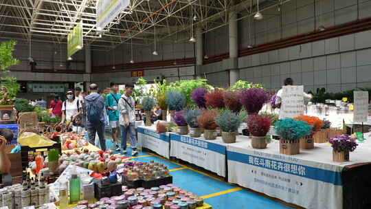 斗南鲜花交易\鲜切花\斗南花市