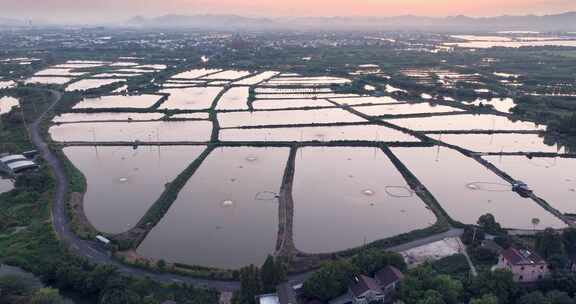 夕阳下的江南水乡水厂养殖鱼塘