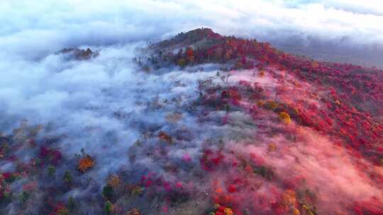 4K秋天五花山吉林东北秋景日出云海云雾逆光