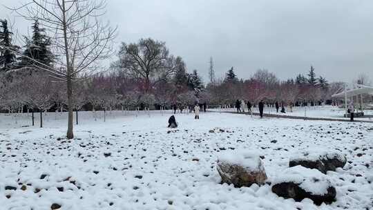 2024年春节汉中的雪