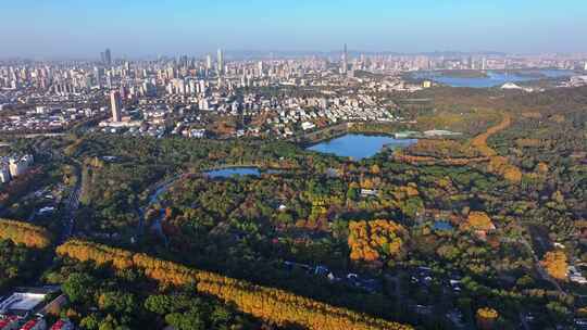 江苏南京灵山风景区前湖秋天秋色航拍