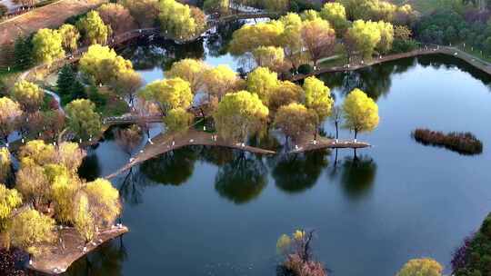 西安渭河浐灞湿地公园秋景视频素材模板下载