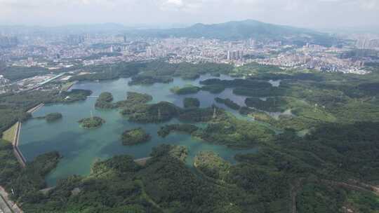 深圳龙华茜坑水库