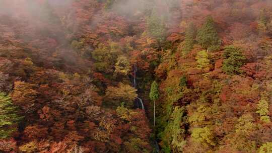航拍秋季森林云雾瀑布溪流唯美山水风景