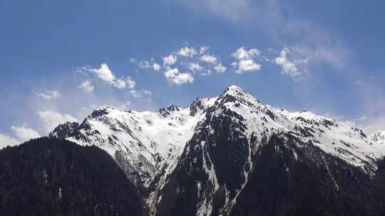 春天森林山顶的无树雪山