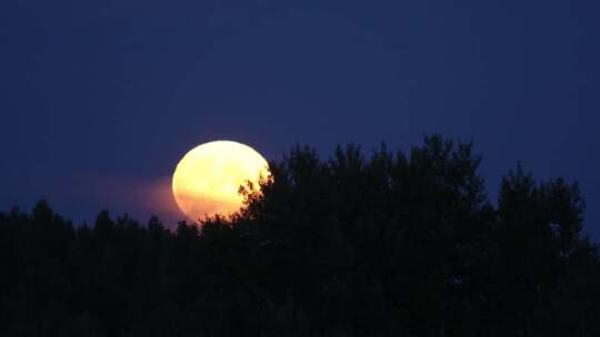 树梢上的月亮 月亮移动 夜晚的氛围