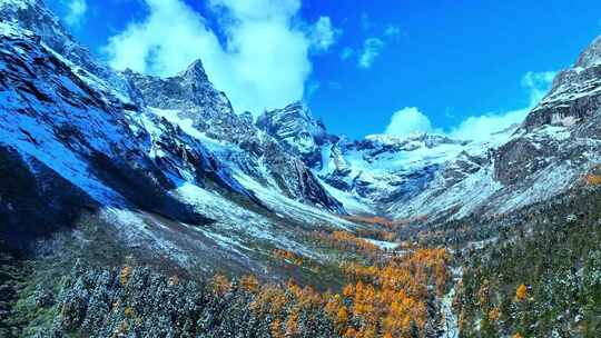 雪山下多彩树林与湖泊相映的美景