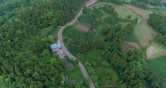 四川农村美丽山间风景小路丘陵