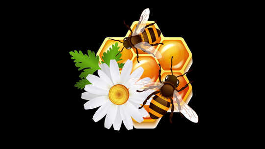 蜂巢花徽动画视频素材模板下载