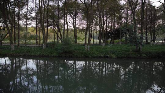 杭州西湖十景茅家埠水乡风景