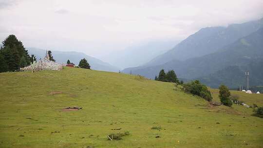 草原山顶森林风景