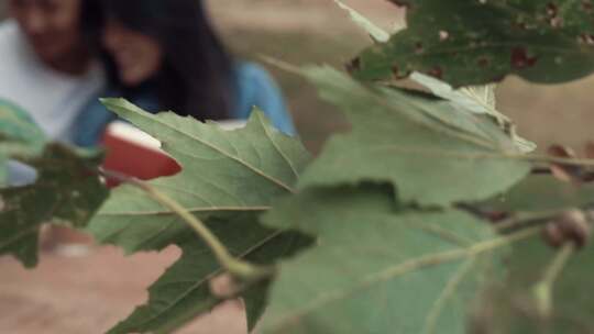 一对夫妇在约会时带了很多书