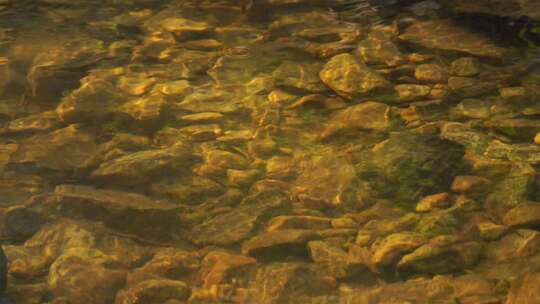 河流溪流溪水泉水河流水流河水水源山水河水