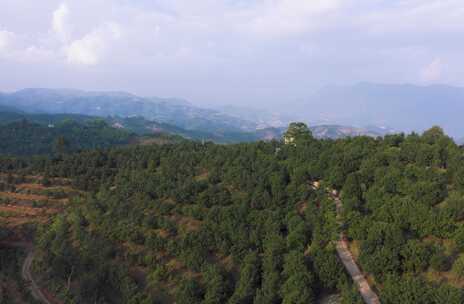 航拍坚果基地大范围移动延时