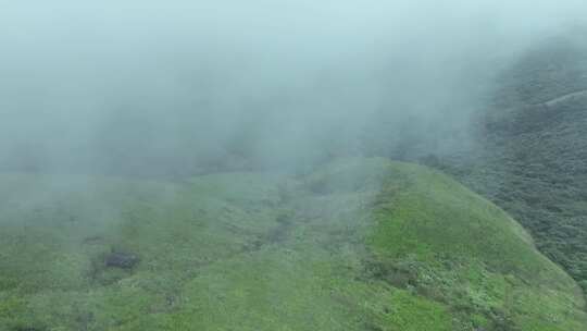 山川草原云海航拍云雾缭绕绿色山丘草地风光