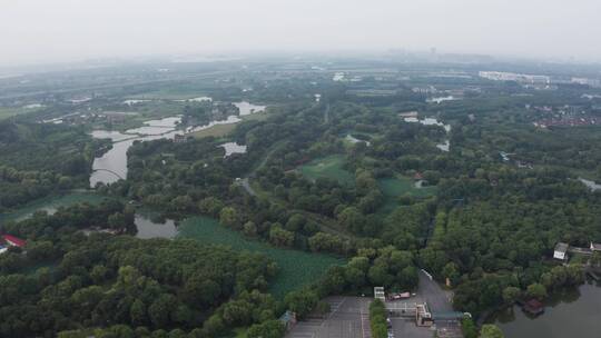 植物园 苏州植物园 植物 绿色植物