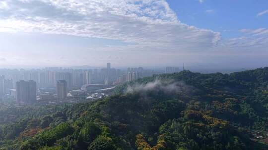 城市与森林云雾全景