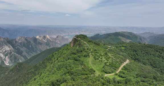 森林 青山绿水 天然氧吧