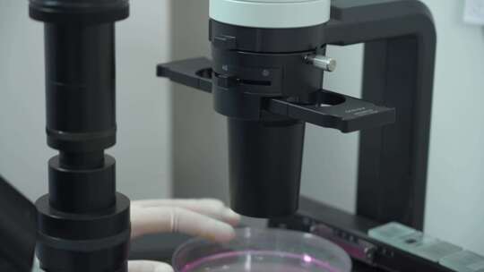 4k显微镜生物实验视频素材模板下载