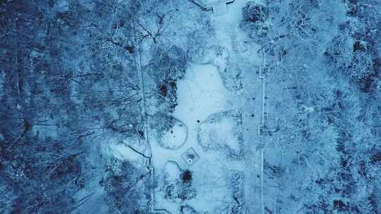 杭州西湖保俶塔雪景