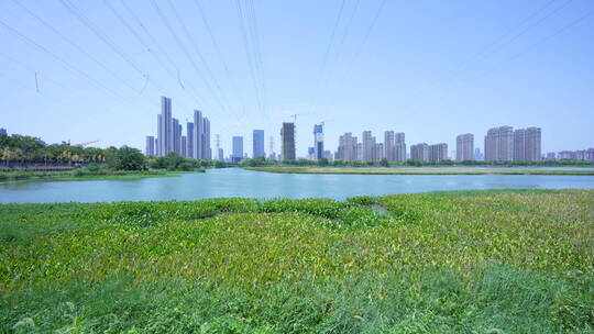 武汉杨春湖城市生态公园风景