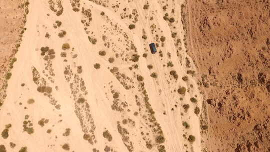 航拍沙漠戈壁滩梭梭丛中行驶的汽车