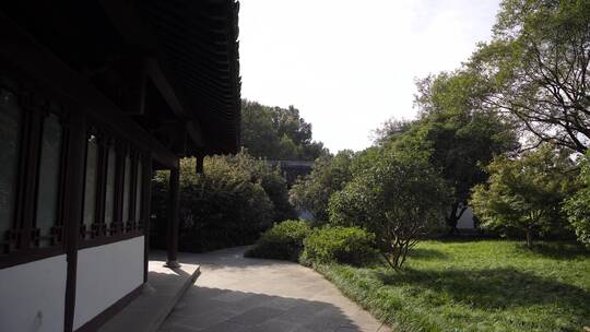 杭州西湖景区曲院风荷风景