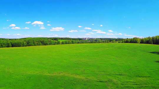 绿色草地森林公园生态治愈清新绿化自然风景